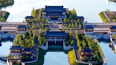 政务服务 / 首页